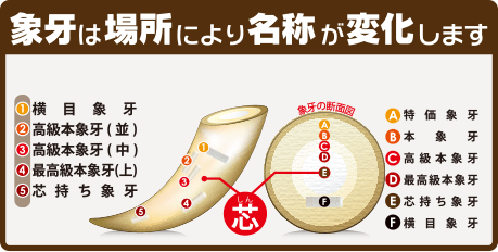 実印は象牙がおすすめ!はんこ屋さん21(札幌)大谷地店